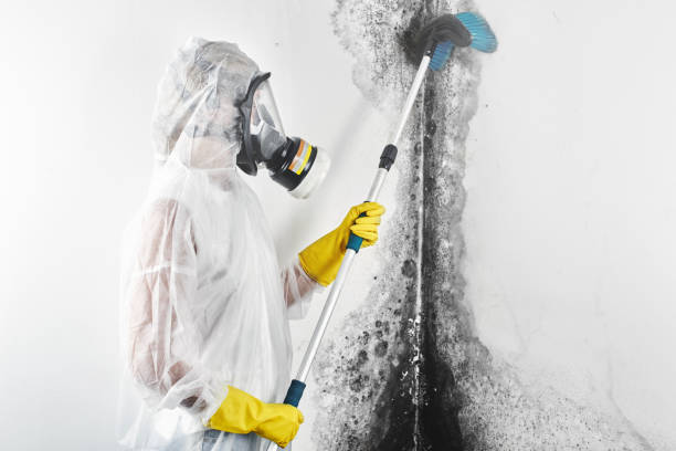 Best Real Estate Mold Inspection  in Rockaway Beach, OR