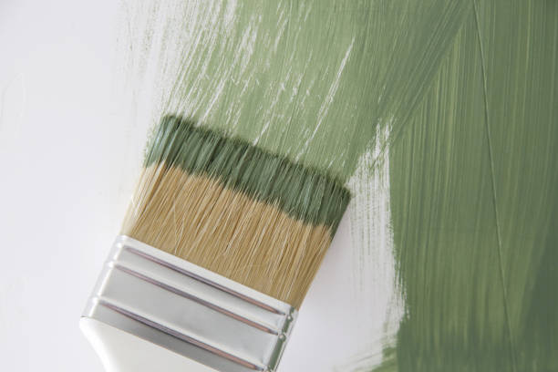 Best Mold Documentation for Insurance Claims  in Rockaway Beach, OR