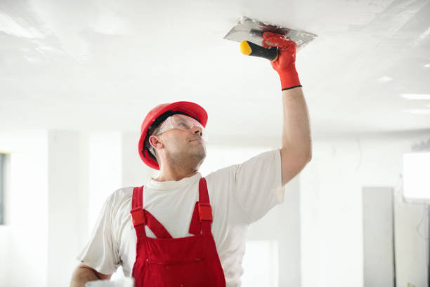 Reliable Rockaway Beach, OR Mold Removal Solutions